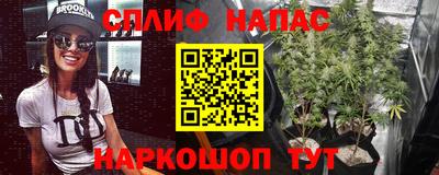 ешки Ярославль