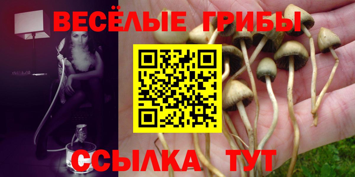 Псилоцибиновые грибы Psilocybine cubensis  Псилоцибиновые грибы Psilocybe  Новочеркасск  Вход с VPN 